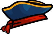 Pirate Hat (Duck Life: Space) artwork