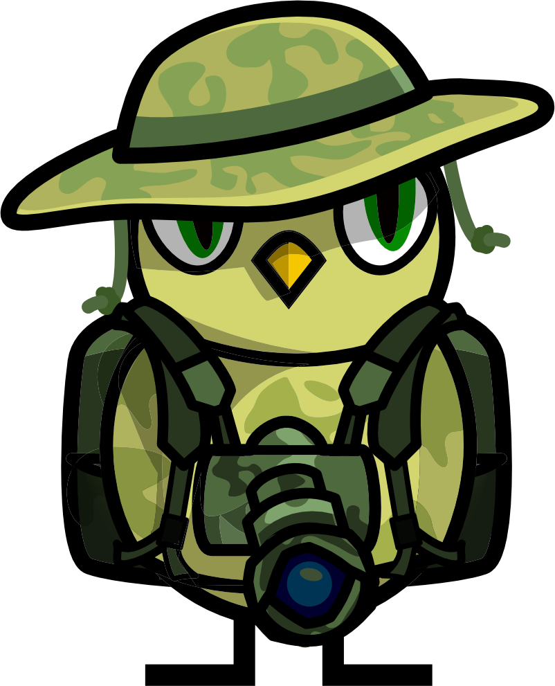 Camera Duck artwork