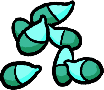 Dazeradish Seed artwork
