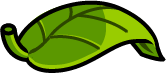Big Leaf Hat artwork