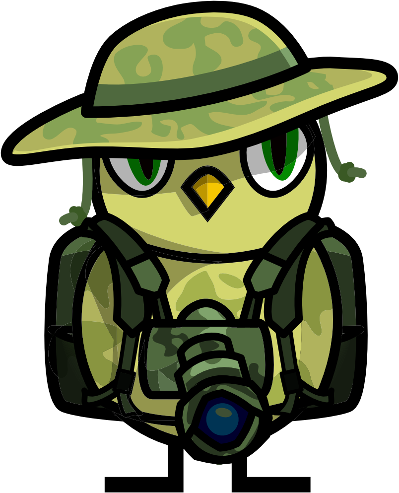 Camera Duck artwork