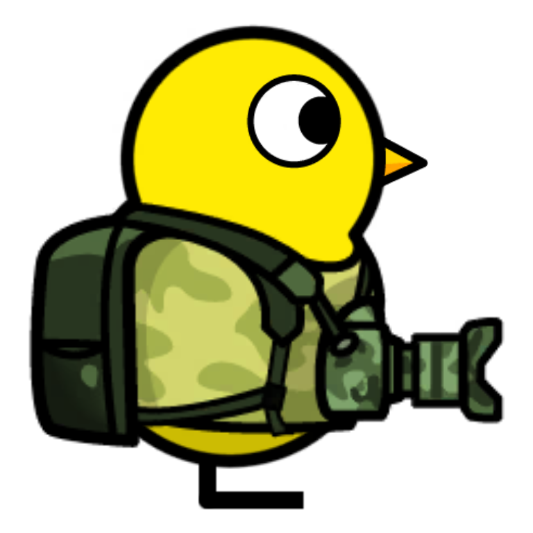 Wild Life Duck on a plain yellow duck