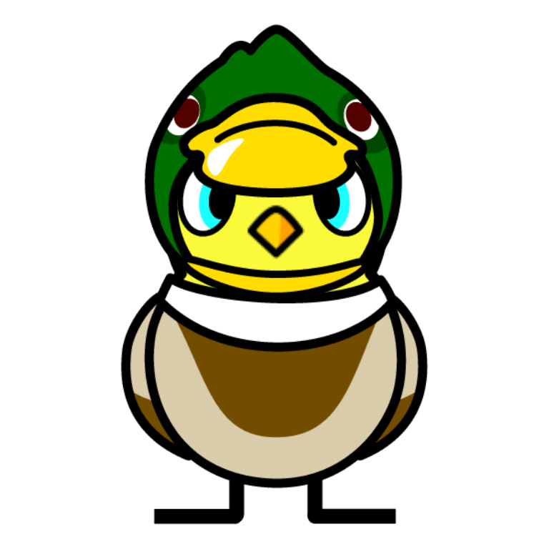 front view of Mallard Outfit
